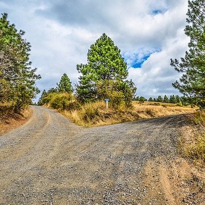 Fork in the road